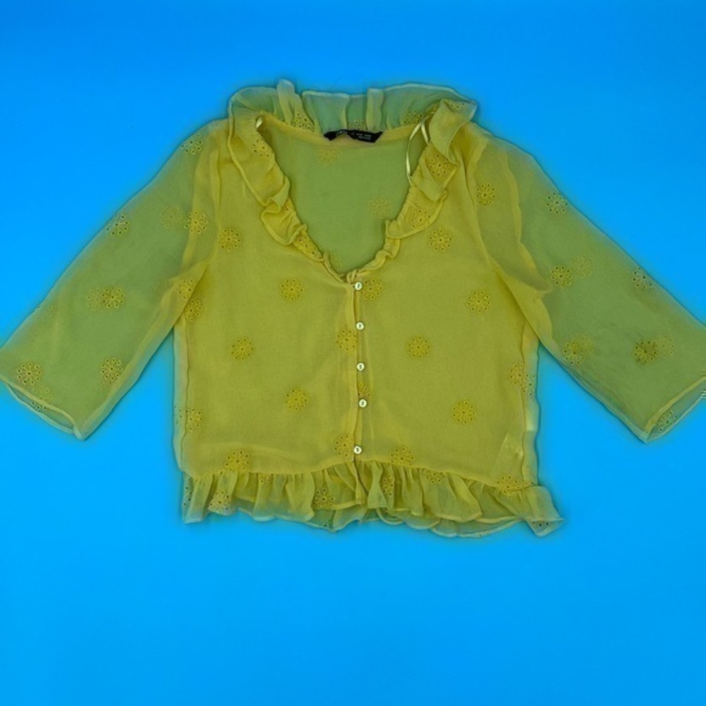 ZARA Long Sleeve Blouse